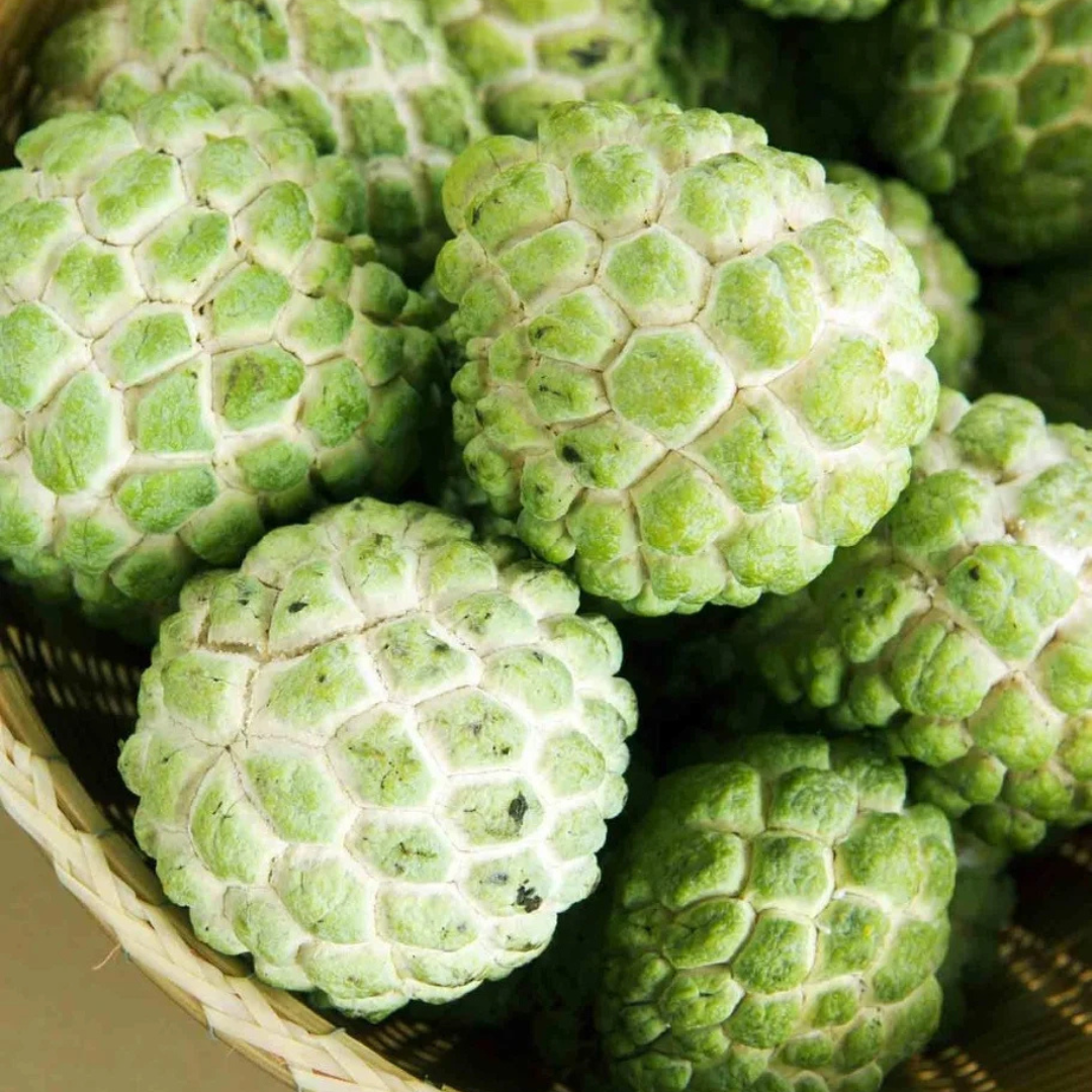 Custard Apple Fruit